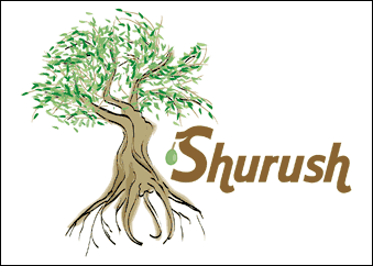 Logo Design for Shurush by Dynamic Digital Advertising