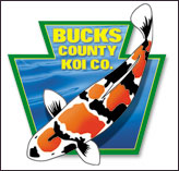 Professional Logo Design for Bucks County Koi Co.