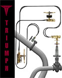 Print Catalog Design For Triumph
