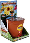 rock Concepts flower pot